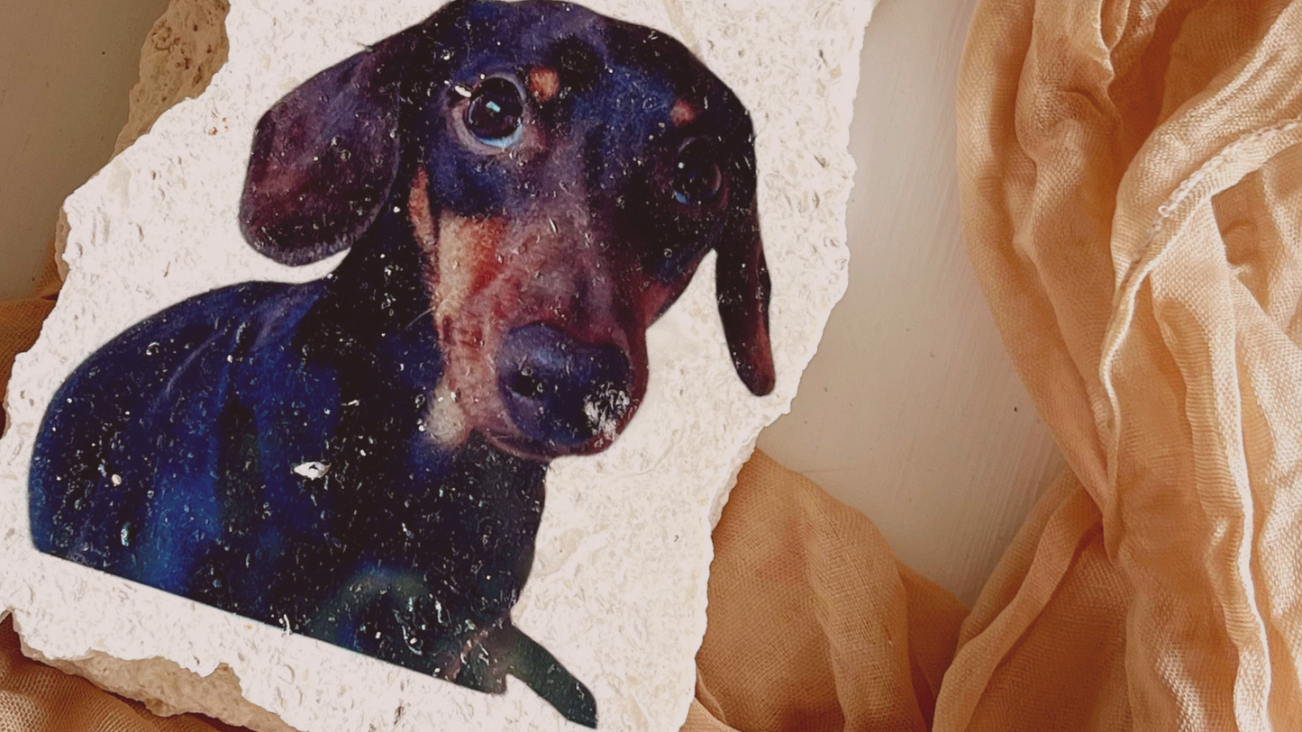 Pet Portrait Keepsake | Personalised Stone Pet Memorial Gift