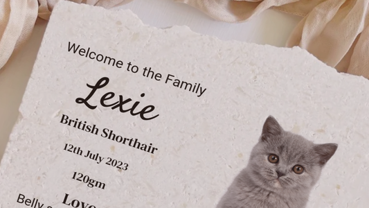 Pet Birth Details Keepsake | Personalised Stone Tribute